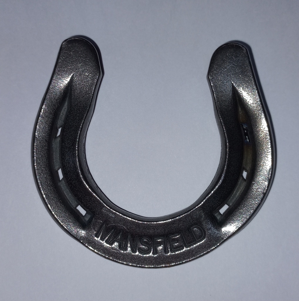 Horse Shoe Magnet